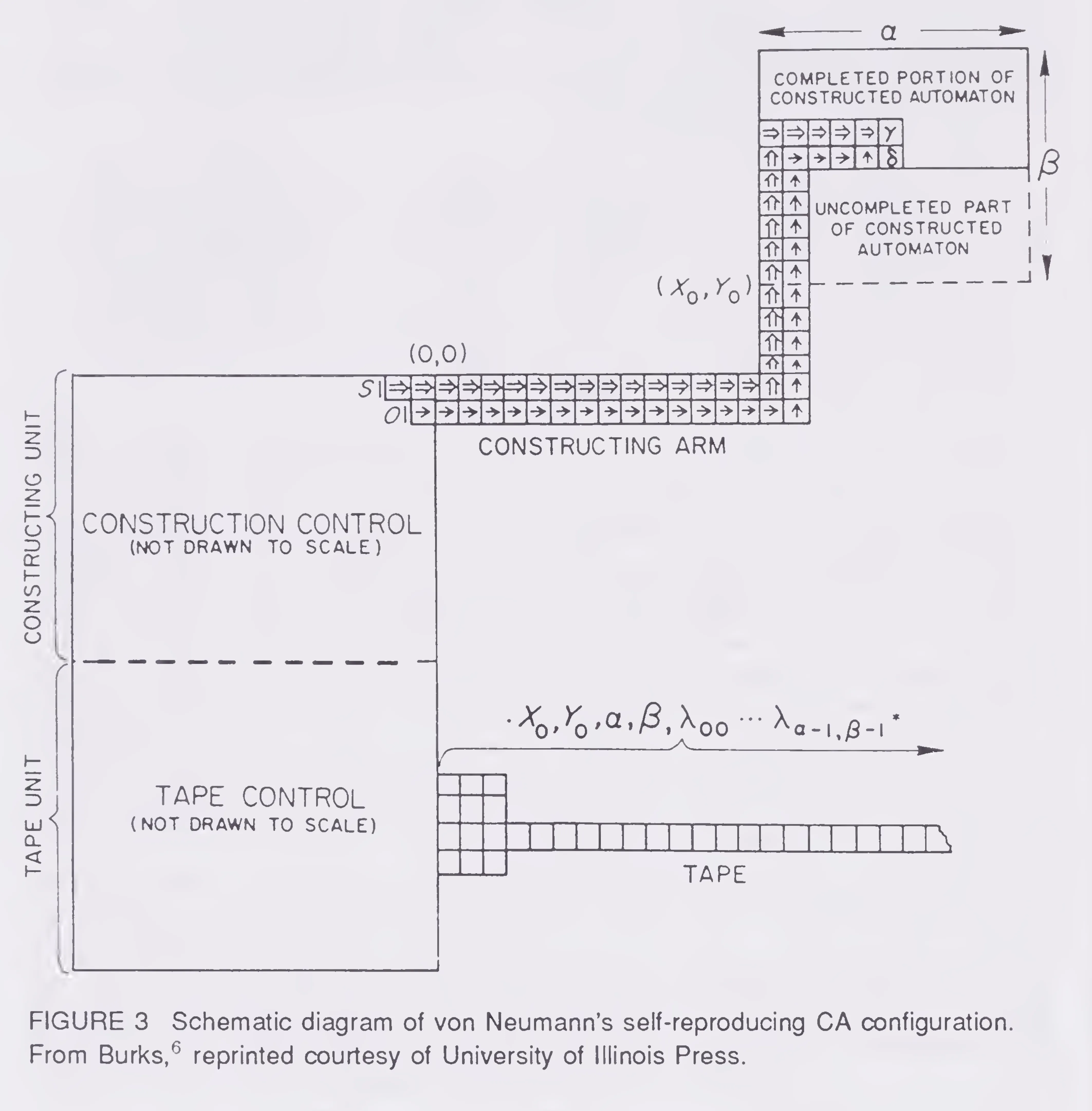 Primary-source scan of Figure 3 from Langton's Artificial Life chapter in ALIFE I, including the printed caption for von Neumann's self-reproducing cellular automaton configuration.