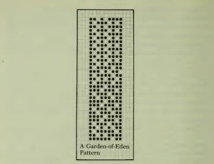 Garden-of-Eden pattern from The Recursive Universe
